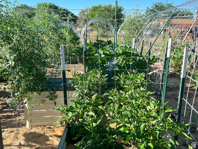 exterior space featuring a garden