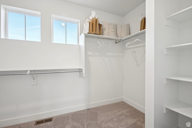 spacious closet featuring visible vents and carpet flooring