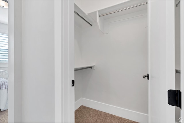 219 W Elinor Ln, Washington, UT 84780 - spacious closet with carpet flooring