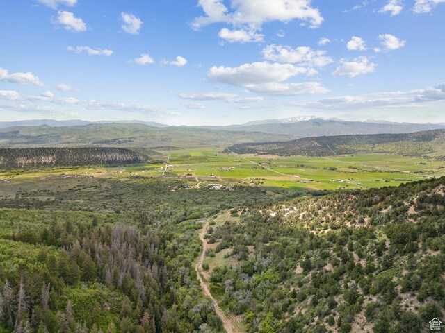11680 E 29130 N, Fairview, UT 84629 - mountain view