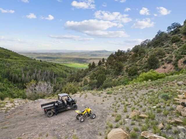 11680 E 29130 N, Fairview, UT 84629 - view of mountain background