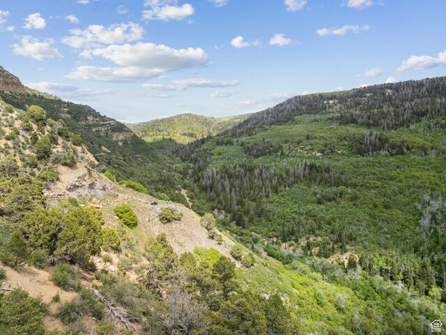 11680 E 29130 N, Fairview, UT 84629 - view of mountain backdrop featuring a forest