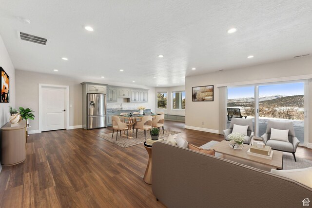 11680 E 29130 N, Fairview, UT 84629 - living area with recessed lighting, baseboards, healthy amount of natural light, dark wood finished floors, and a mountain view