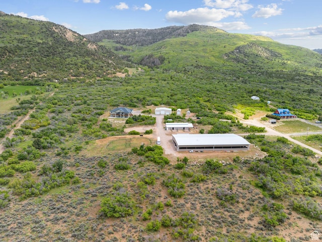 11680 E 29130 N, Fairview, UT 84629 - drone / aerial view of mountains