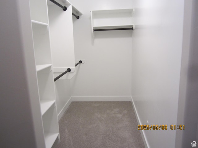 spacious closet with carpet flooring