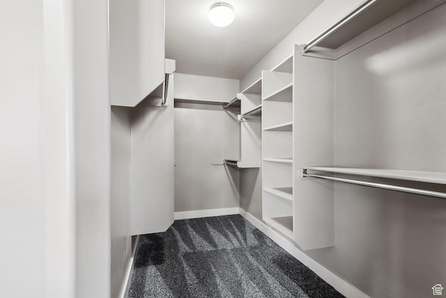 2887 N 1175 W, Layton, UT 84041 - walk in closet featuring dark carpet