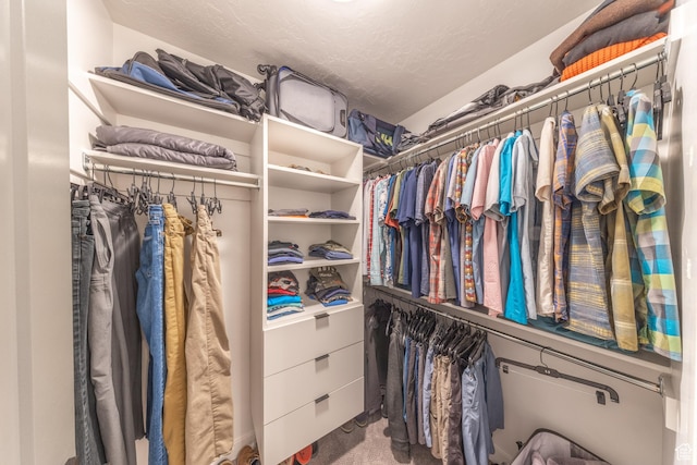 spacious closet featuring carpet flooring