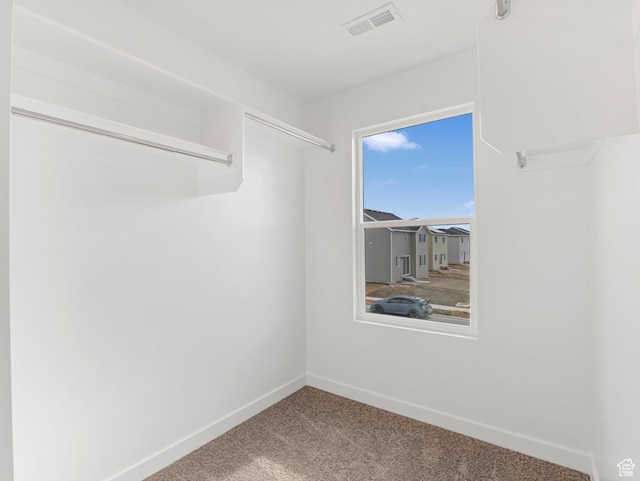 1604 E Pheasant Rd Unit 208, Eagle Mountain, UT 84005 - spacious closet with carpet flooring and visible vents
