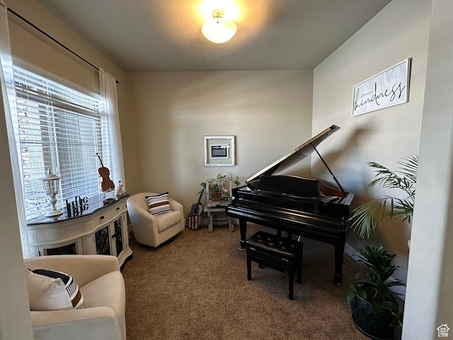 338 S 1230 E, Tooele, UT 84074 - sitting room featuring carpet
