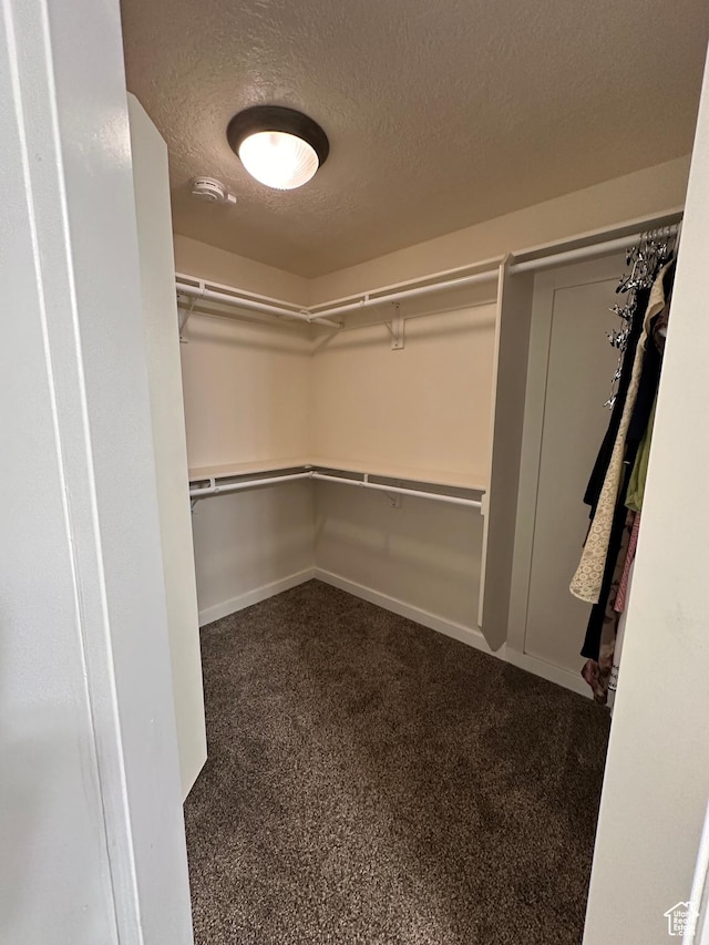 338 S 1230 E, Tooele, UT 84074 - spacious closet featuring dark colored carpet