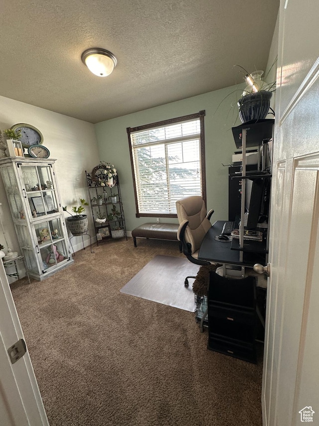 338 S 1230 E, Tooele, UT 84074 - home office with a textured ceiling and carpet