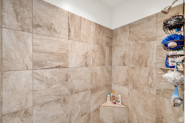 6116 S Rocky Talus Way, St George, UT 84790 - interior details with tiled shower
