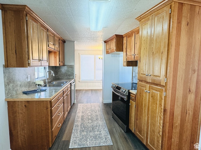 350 S 200 E, Ephraim, UT 84627 - kitchen with decorative backsplash, appliances with stainless steel finishes, dark wood finished floors, and a sink