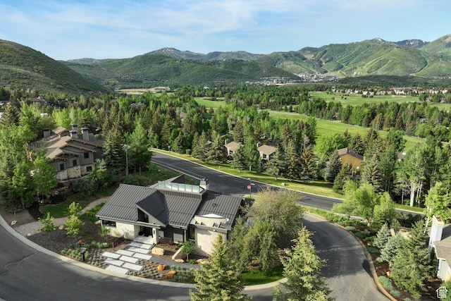2559 Lupine Ln, Park City, UT 84060 - view of mountain background