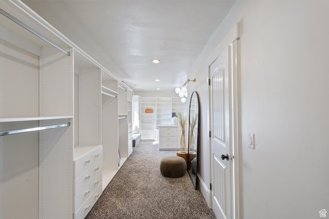 walk in closet with carpet flooring