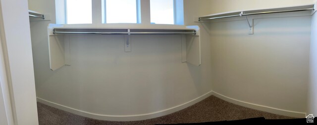 2421 S Blue Water Ln E, Saratoga Springs, UT 84045 - walk in closet featuring carpet floors