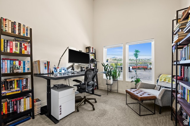 office featuring baseboards, carpet floors, and a towering ceiling