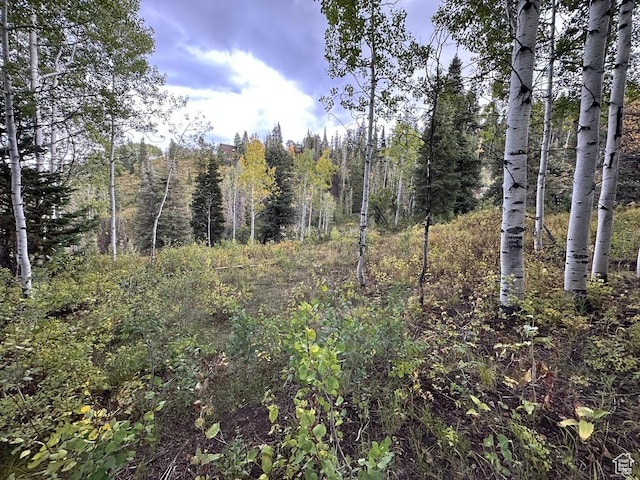 1495 W Pine Ridge Cir Unit 8/9, Wanship, UT 84017