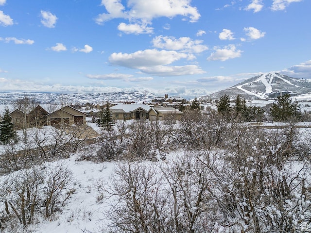 1620 W Apline Ave Unit 3, Heber City, UT 84032