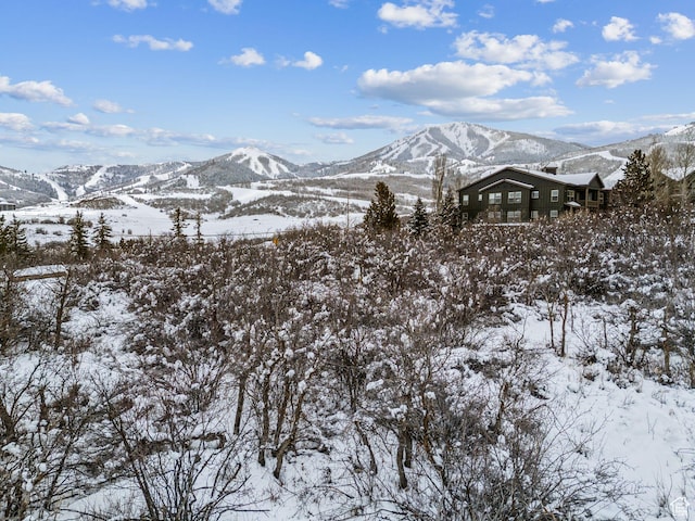 1620 W Apline Ave Unit 3, Heber City, UT 84032