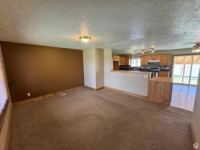 350 S 50 W, Ephraim, UT 84627 - unfurnished living room featuring carpet flooring, a textured ceiling, baseboards, and track lighting