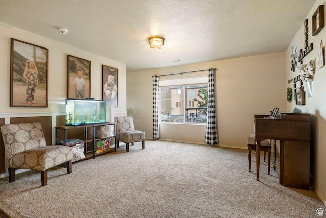 5943 N Bleeker, Stansbury Park, UT 84074 - sitting room with carpet floors and a textured ceiling