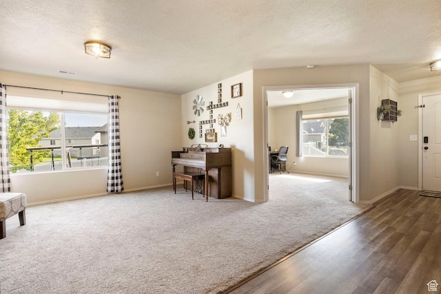 5943 N Bleeker, Stansbury Park, UT 84074 - home office featuring a textured ceiling, healthy amount of natural light, and wood finished floors