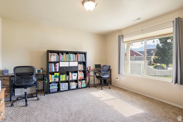 5943 N Bleeker, Stansbury Park, UT 84074 - carpeted office featuring baseboards
