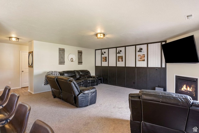 5943 N Bleeker, Stansbury Park, UT 84074 - living area featuring carpet floors and a glass covered fireplace