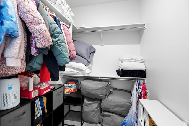 6059 S Bunda Way, St George, UT 84790 - view of walk in closet