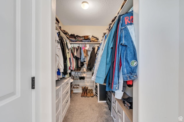 1186 N Buckboard Ln, Spanish Fork, UT 84660 - walk in closet with light carpet