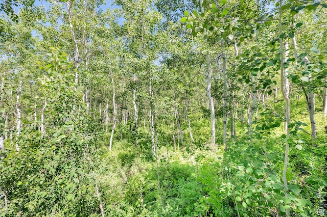 2821 S Deer Run Rd Unit 1011C, Heber City, UT 84032 - view of local wilderness