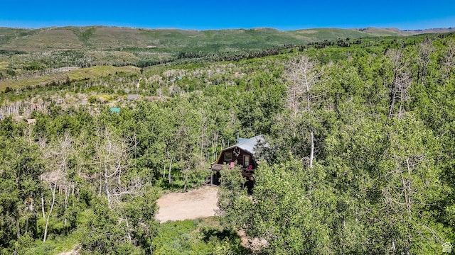 2821 S Deer Run Rd Unit 1011C, Heber City, UT 84032 - mountain view featuring a forest
