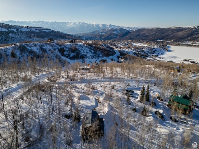 2821 S Deer Run Rd Unit 1011C, Heber City, UT 84032 - view of mountain feature