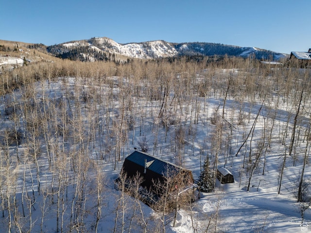 2821 S Deer Run Rd Unit 1011C, Heber City, UT 84032 - mountain view