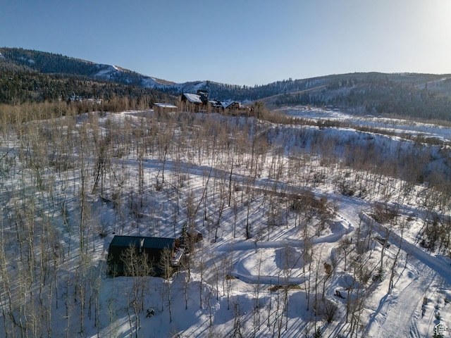 2821 S Deer Run Rd Unit 1011C, Heber City, UT 84032 - exterior space featuring a mountain view