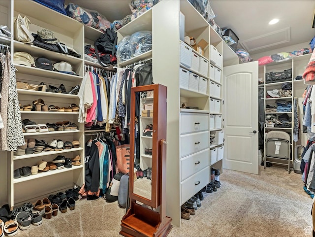 14738 S Currant Creek Cir W, Bluffdale, UT 84065 - spacious closet with carpet flooring