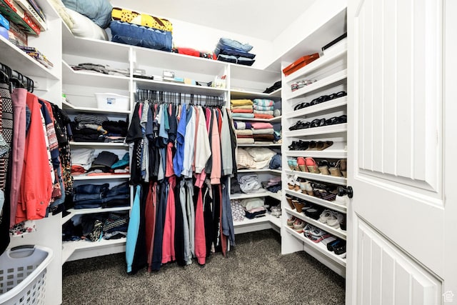 spacious closet with carpet floors
