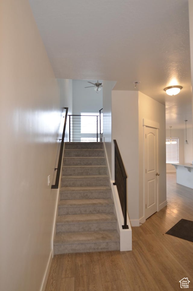 5289 W Van Dyne Ln, Herriman, UT 84096 - staircase featuring ceiling fan with notable chandelier, baseboards, and wood finished floors