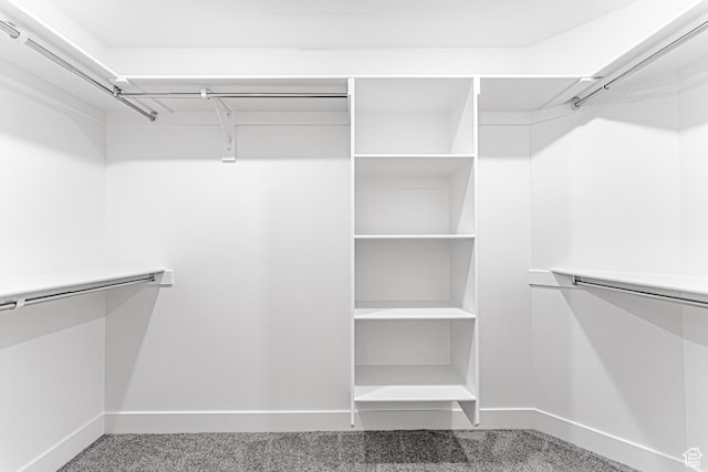 642 W 4500 S Unit 322, Mapleton, UT 84664 - spacious closet featuring carpet