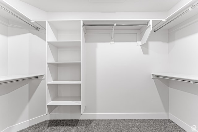 624 W 4500 S Unit 325, Mapleton, UT 84664 - view of spacious closet