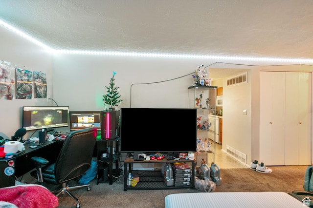 4443 S 1025 W, Riverdale, UT 84405 - living area featuring visible vents and carpet floors