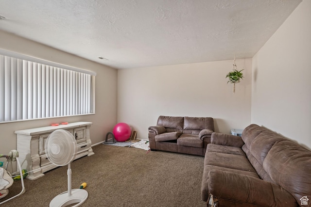 4443 S 1025 W, Riverdale, UT 84405 - carpeted living area featuring visible vents and a textured ceiling