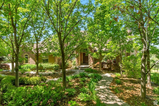 196 S Holly Dr, Alpine, UT 84004 - photo 1