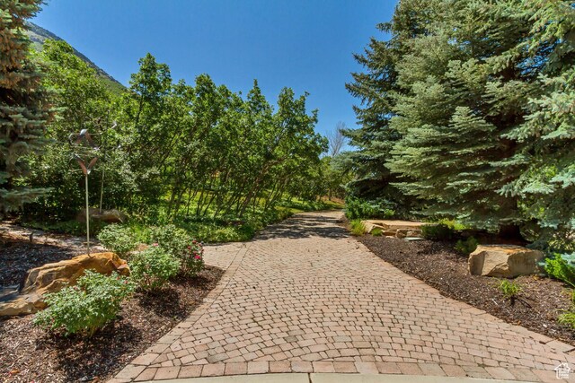 196 S Holly Dr, Alpine, UT 84004 - photo 99