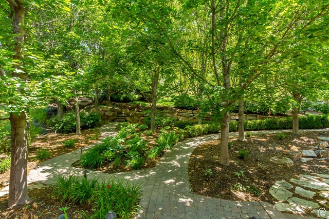 196 S Holly Dr, Alpine, UT 84004 - photo 89