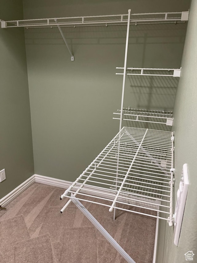 walk in closet with carpet floors