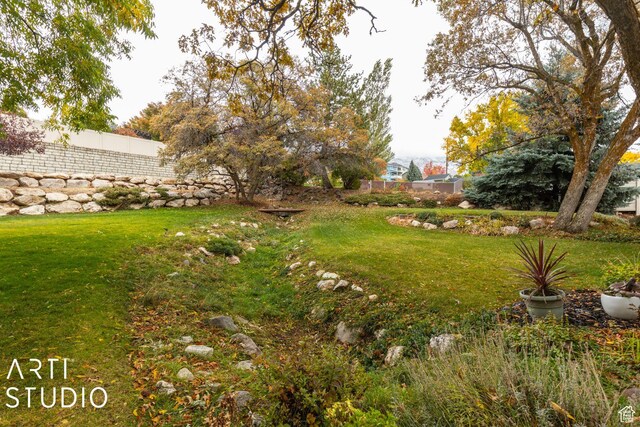 view of yard with fence