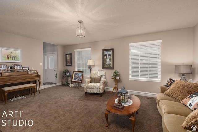 living area with a textured ceiling, baseboards, and carpet floors