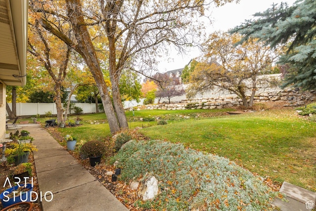 view of yard with fence